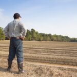 Farmer standing confidently on his farming land, surrounded by crops and fields, ready for the harvest